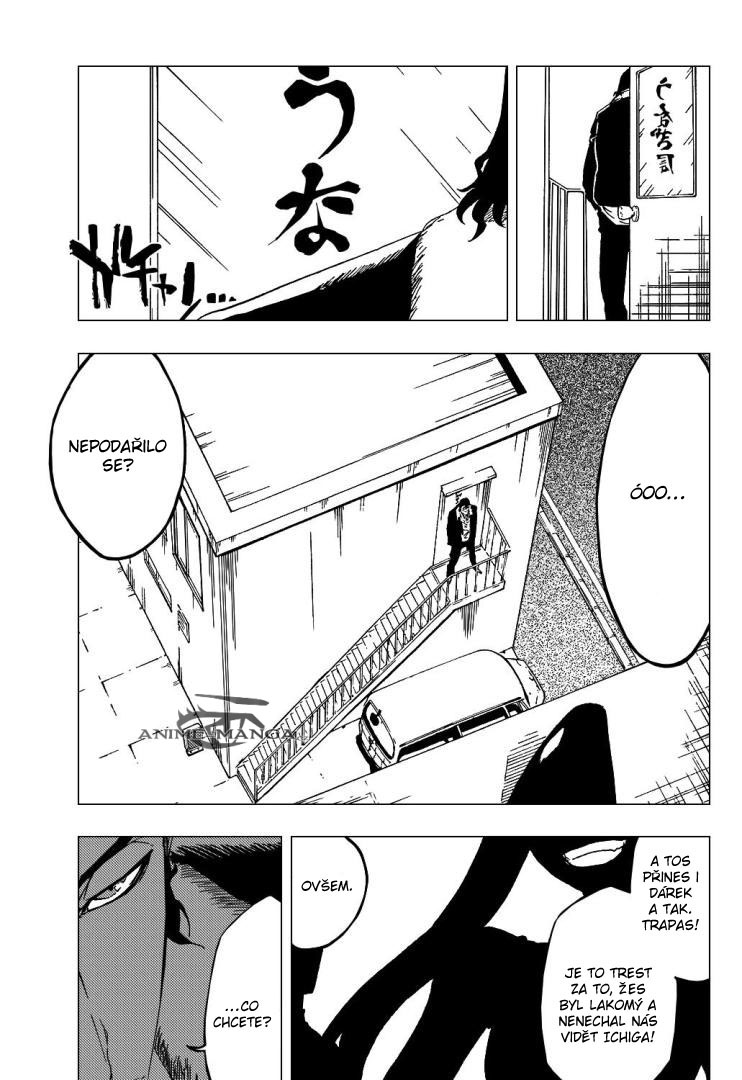 bleach-ch428-10 kopie.jpg